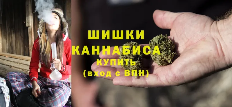 дарнет шоп  Лодейное Поле  Шишки марихуана OG Kush 